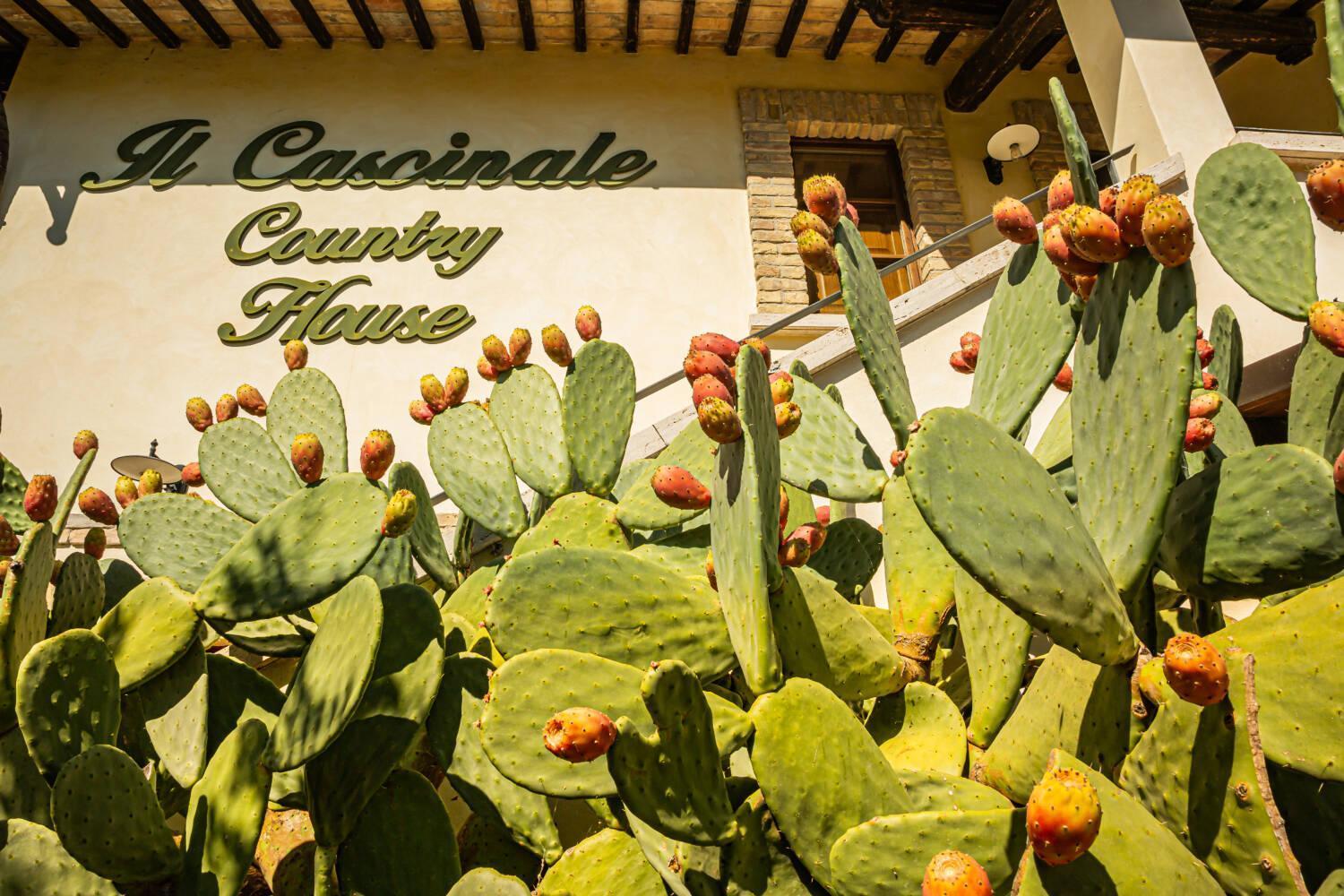 Il Cascinale Vakantieboerderij *