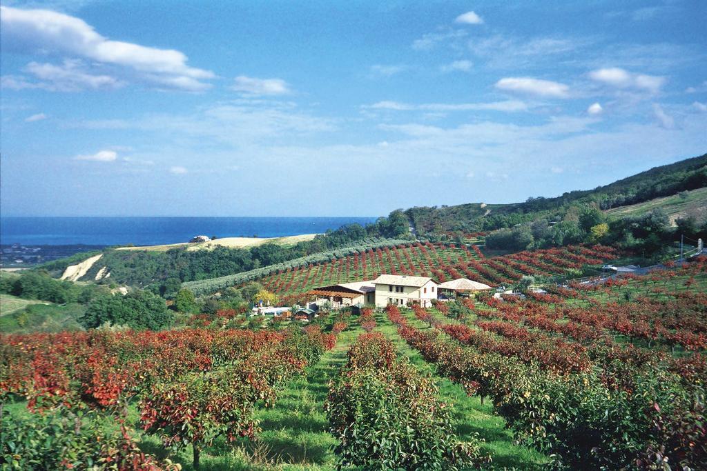 Il Cascinale * Colonnella